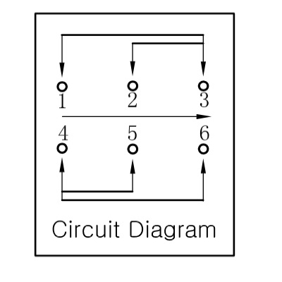 DPDTIndPIN